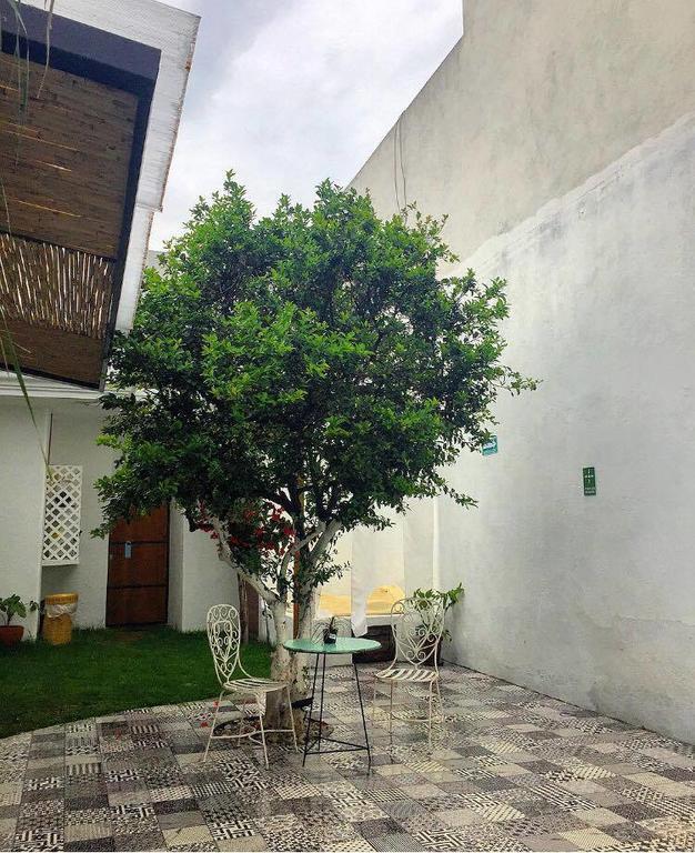 Hoja Santa Hostal Boutique Cholula Exteriér fotografie